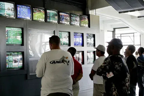 aplicativo bet sport 