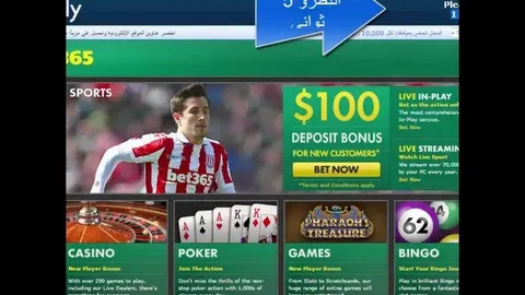cassino online 81bet 