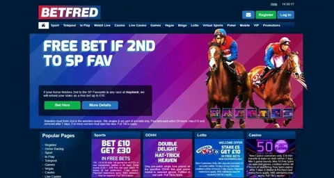 dl bet 