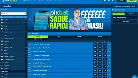 plataforma bingo online 