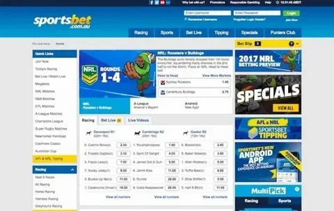 plataforma de apostas esportivas online 