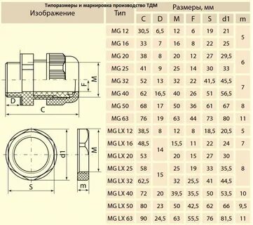 pp11 cassino 