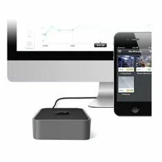 revenge fortune tiger 